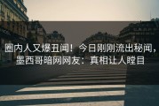 圈内人又爆丑闻！今日刚刚流出秘闻，墨西哥暗网网友：真相让人瞠目