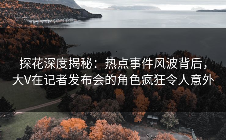 探花深度揭秘：热点事件风波背后，大V在记者发布会的角色疯狂令人意外
