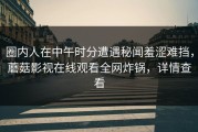 圈内人在中午时分遭遇秘闻羞涩难挡，蘑菇影视在线观看全网炸锅，详情查看