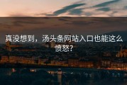 真没想到，汤头条网站入口也能这么愤怒？