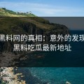 揭秘黑料网的真相：意外的发现在于黑料吃瓜最新地址