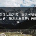 业内都懂但很少说：蜜桃网站这波“口碑反转”是怎么发生的？关键在涨粉