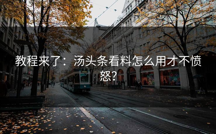 教程来了：汤头条看料怎么用才不愤怒？
