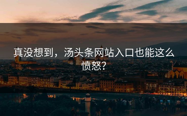 真没想到，汤头条网站入口也能这么愤怒？