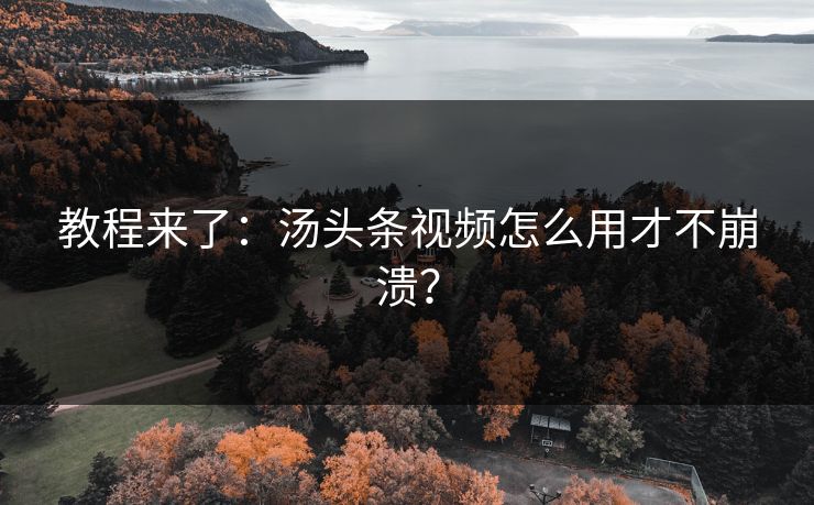 教程来了：汤头条视频怎么用才不崩溃？