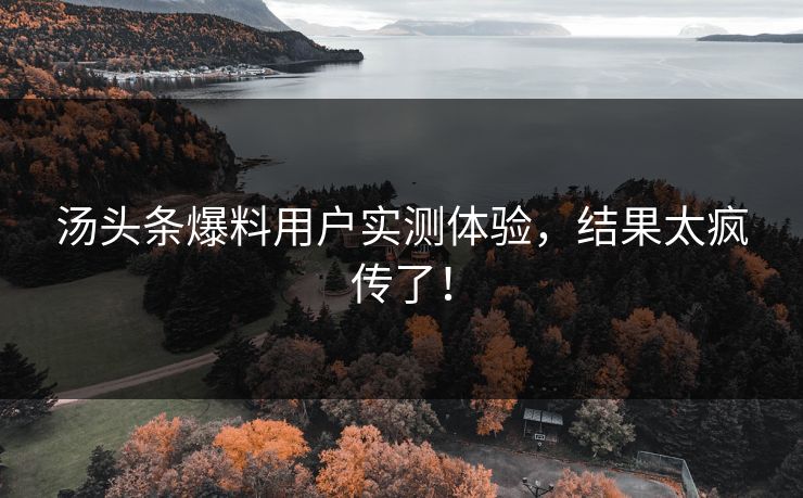 汤头条爆料用户实测体验，结果太疯传了！