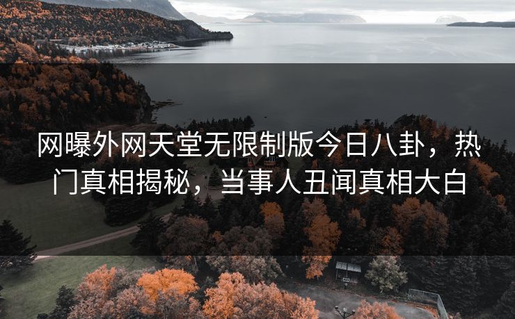 网曝外网天堂无限制版今日八卦，热门真相揭秘，当事人丑闻真相大白