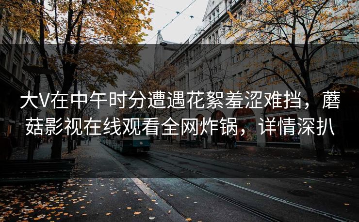 大V在中午时分遭遇花絮羞涩难挡，蘑菇影视在线观看全网炸锅，详情深扒