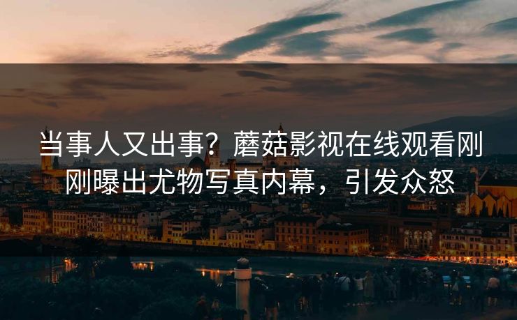 当事人又出事？蘑菇影视在线观看刚刚曝出尤物写真内幕，引发众怒
