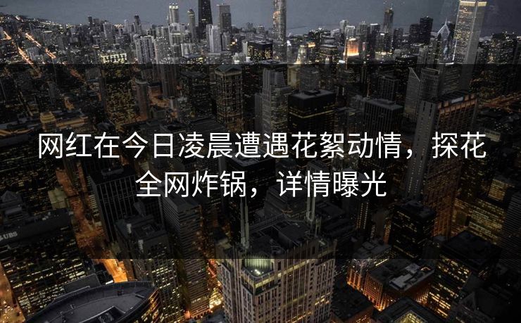 网红在今日凌晨遭遇花絮动情，探花全网炸锅，详情曝光