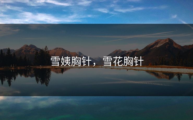 雪姨胸针,雪花胸针 雪姨胸针,雪花胸针