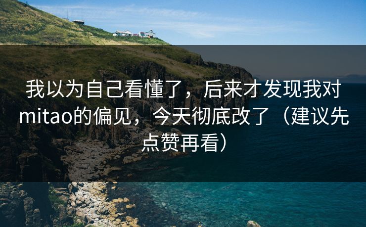 我以为自己看懂了，后来才发现我对mitao的偏见，今天彻底改了（建议先点赞再看）
